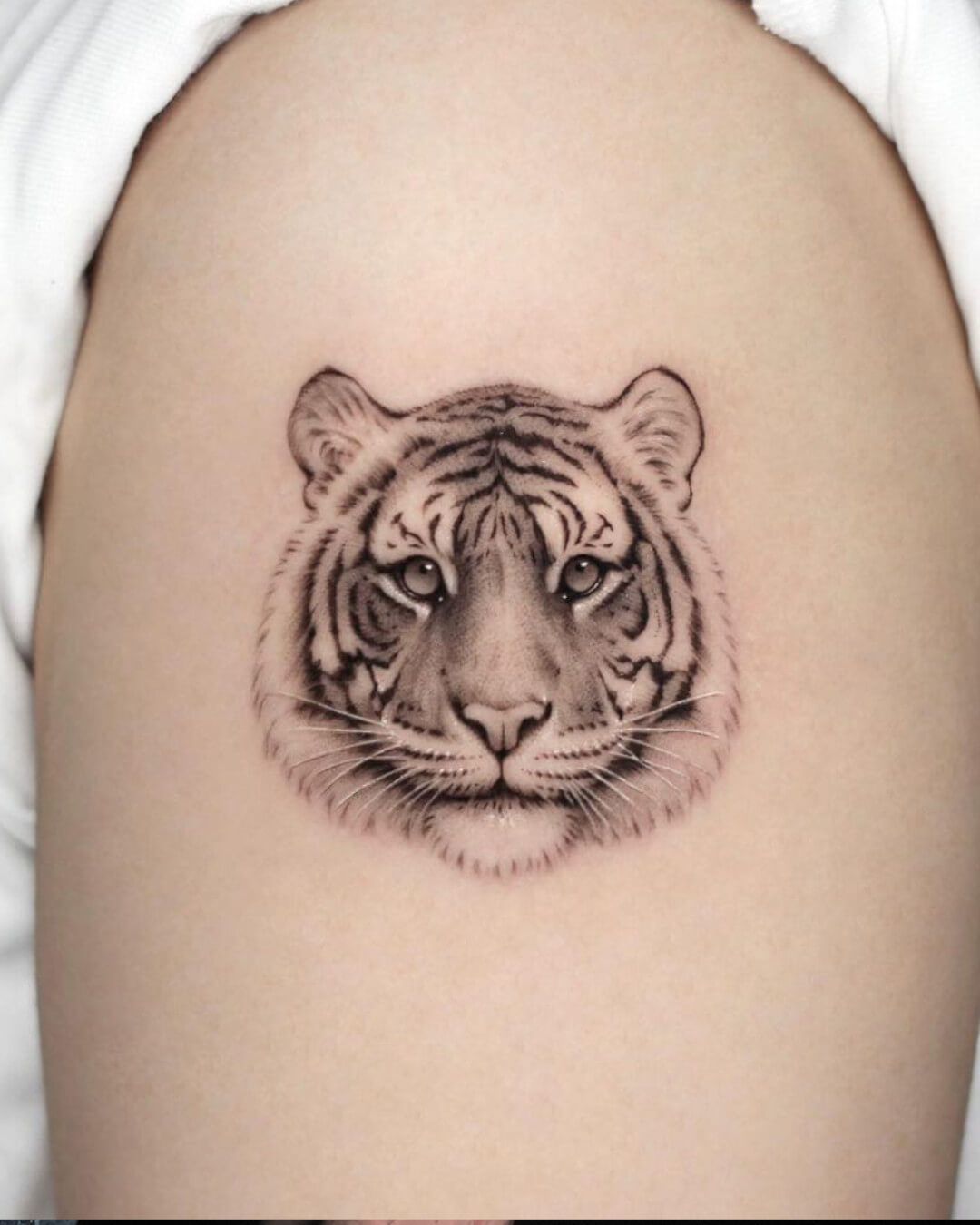 tatuaggio tigre mini realistica