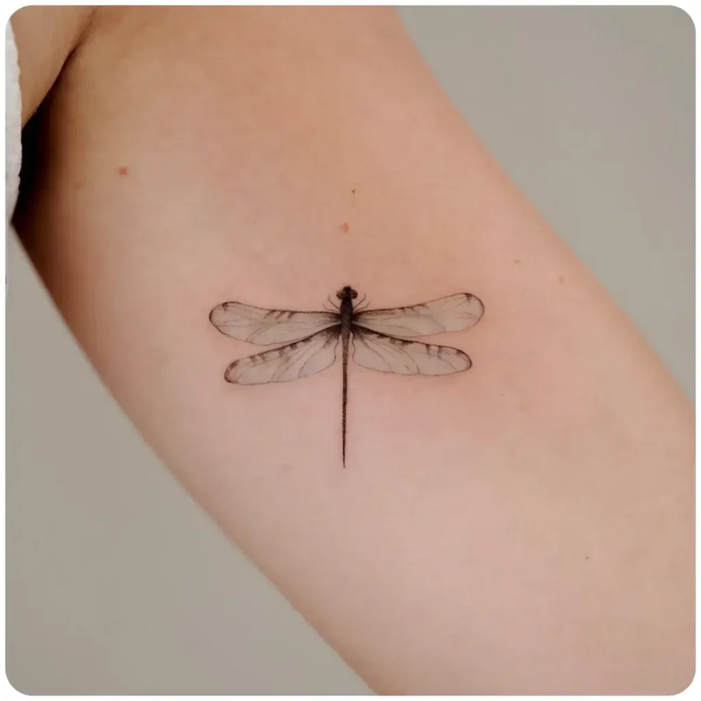 tatuaggio libellula azzurra