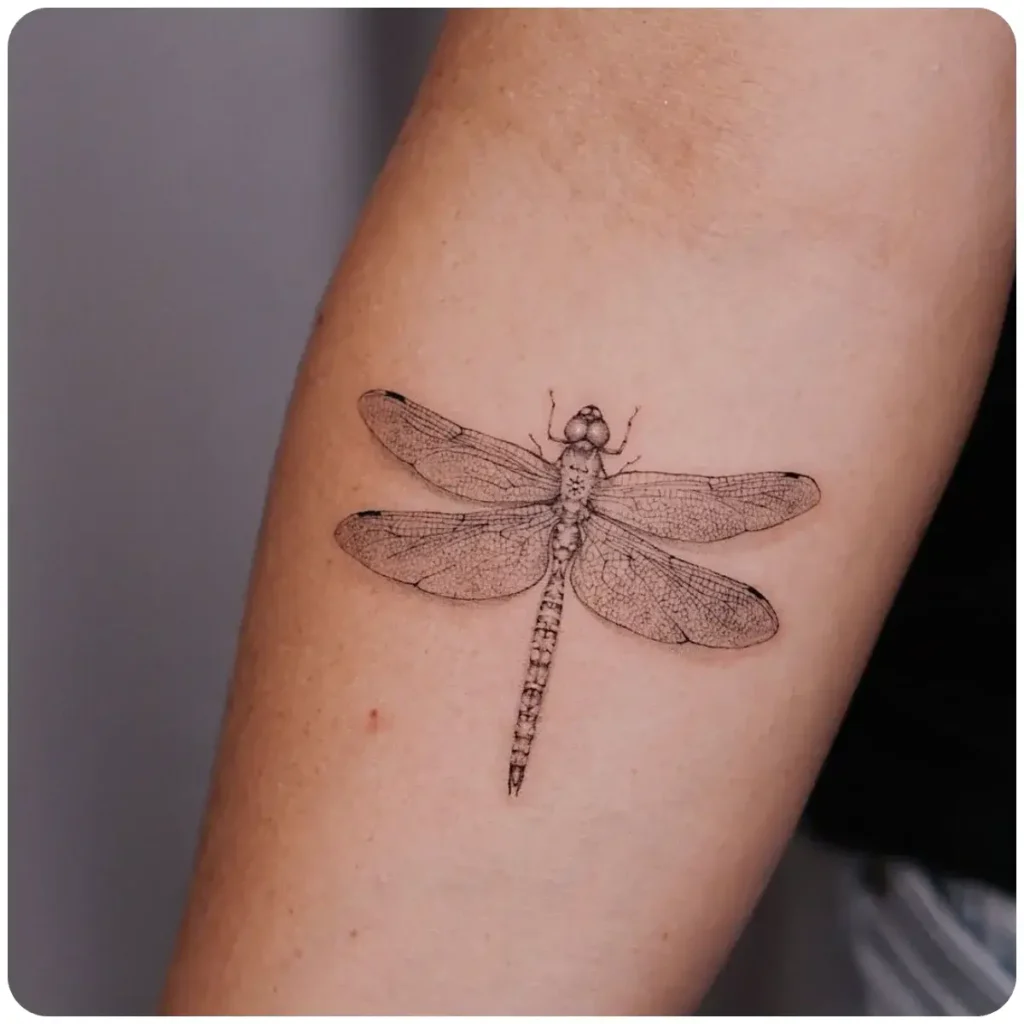 tatuaggio libellula piccola