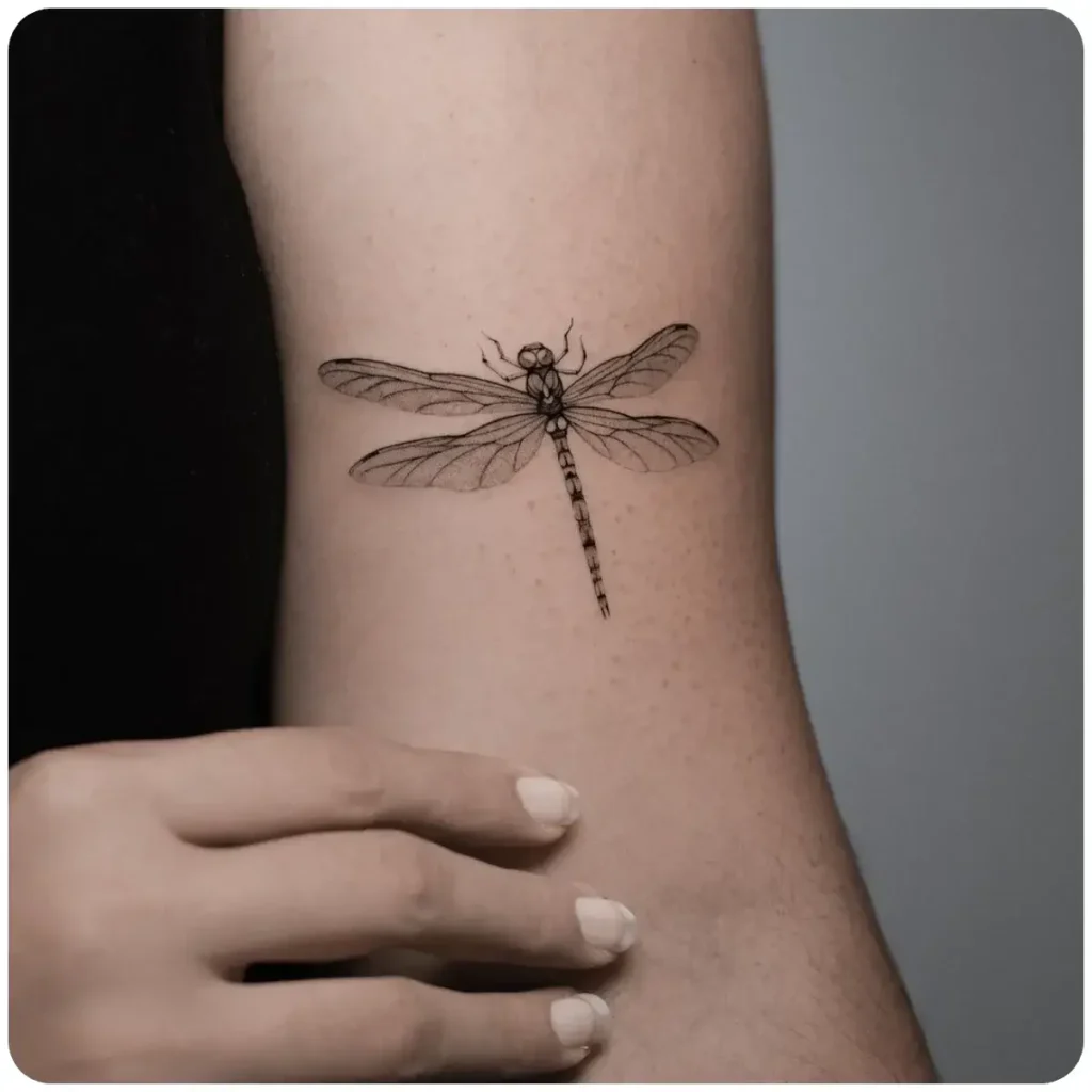 tatuaggio libellula piccola donna