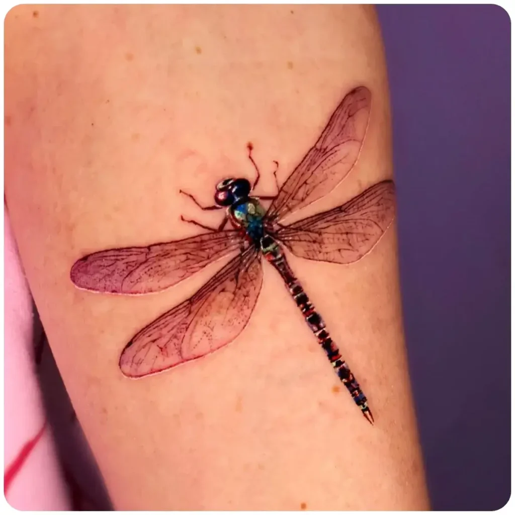 tatuaggio libellula realistica