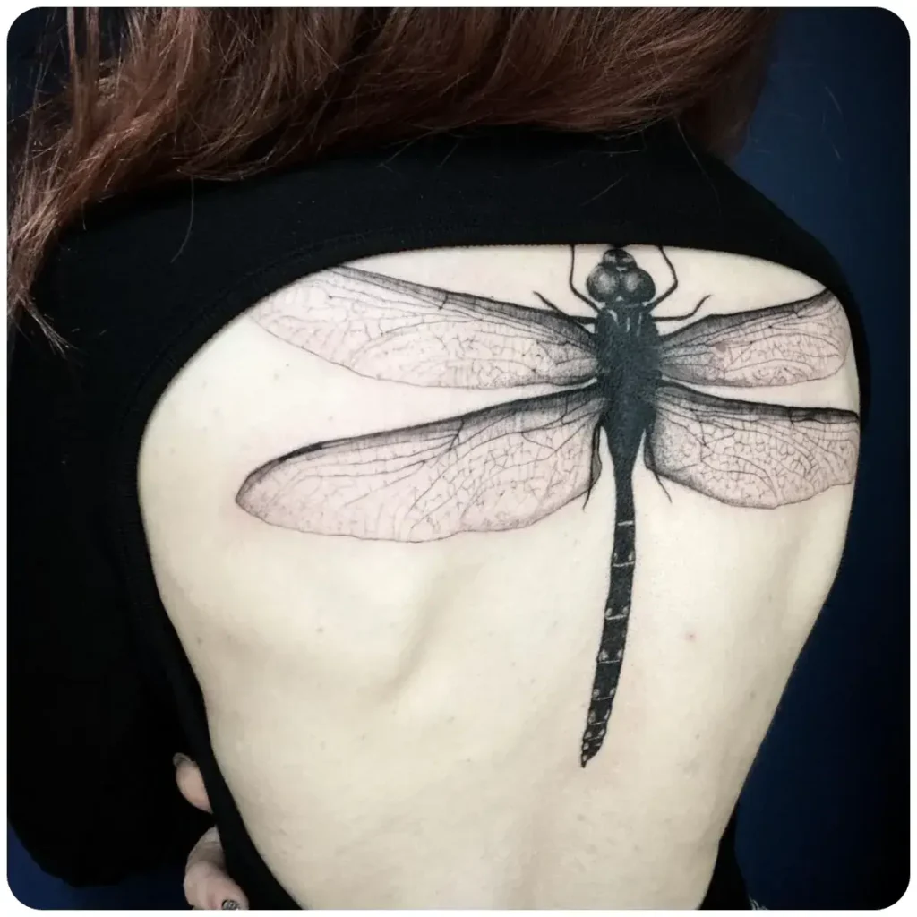tatuaggio libellula schiena donna