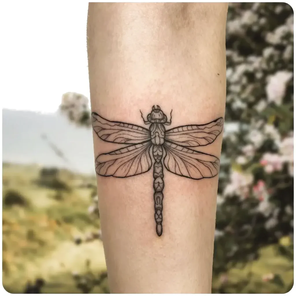 tatuaggio libellula stilizzata