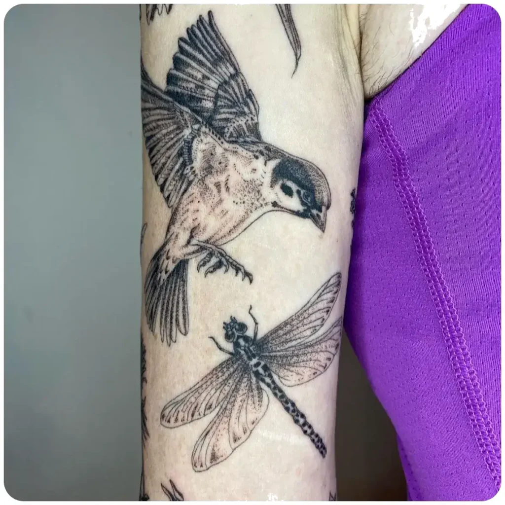 tatuaggio libellula uccello