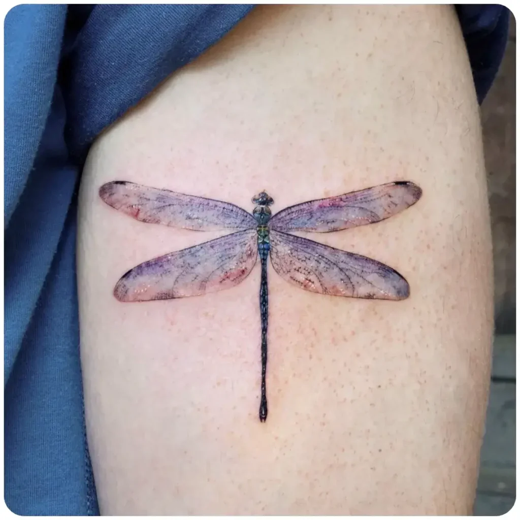 tatuaggio libellula viola