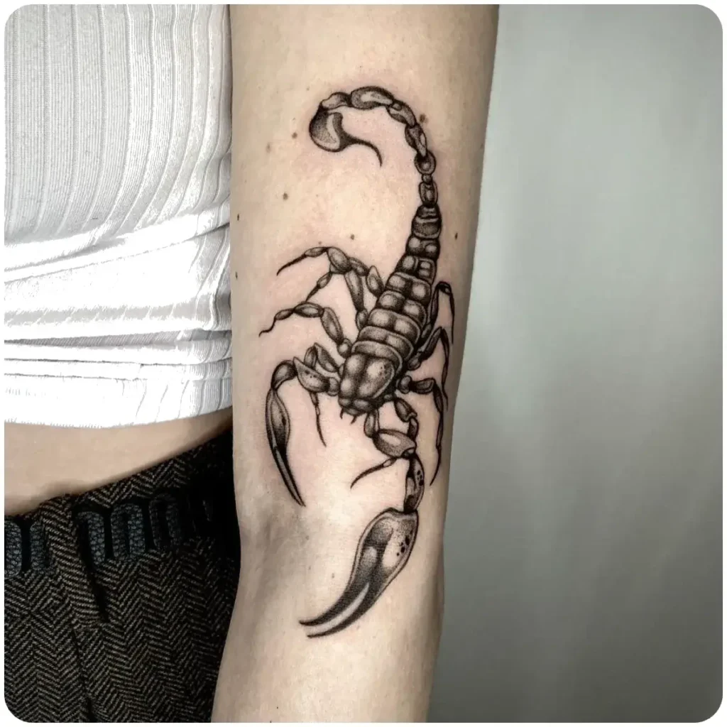 tatuaggio scorpione avambraccio