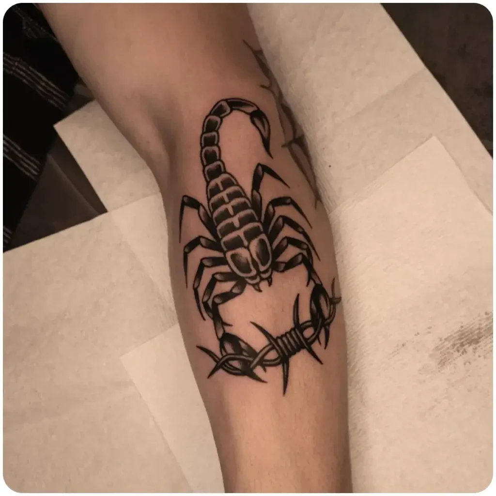 tatuaggio scorpione filo spinato