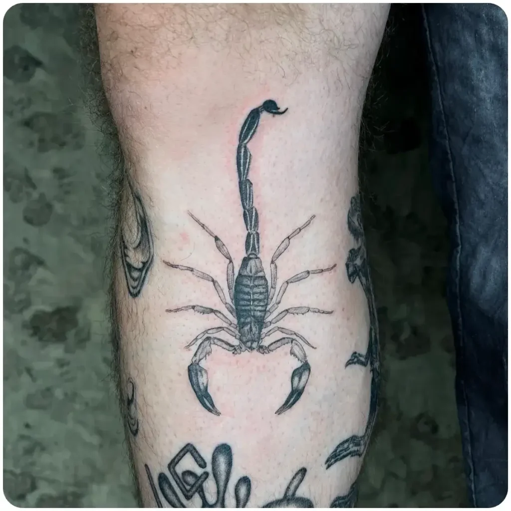 tatuaggio scorpione polpaccio