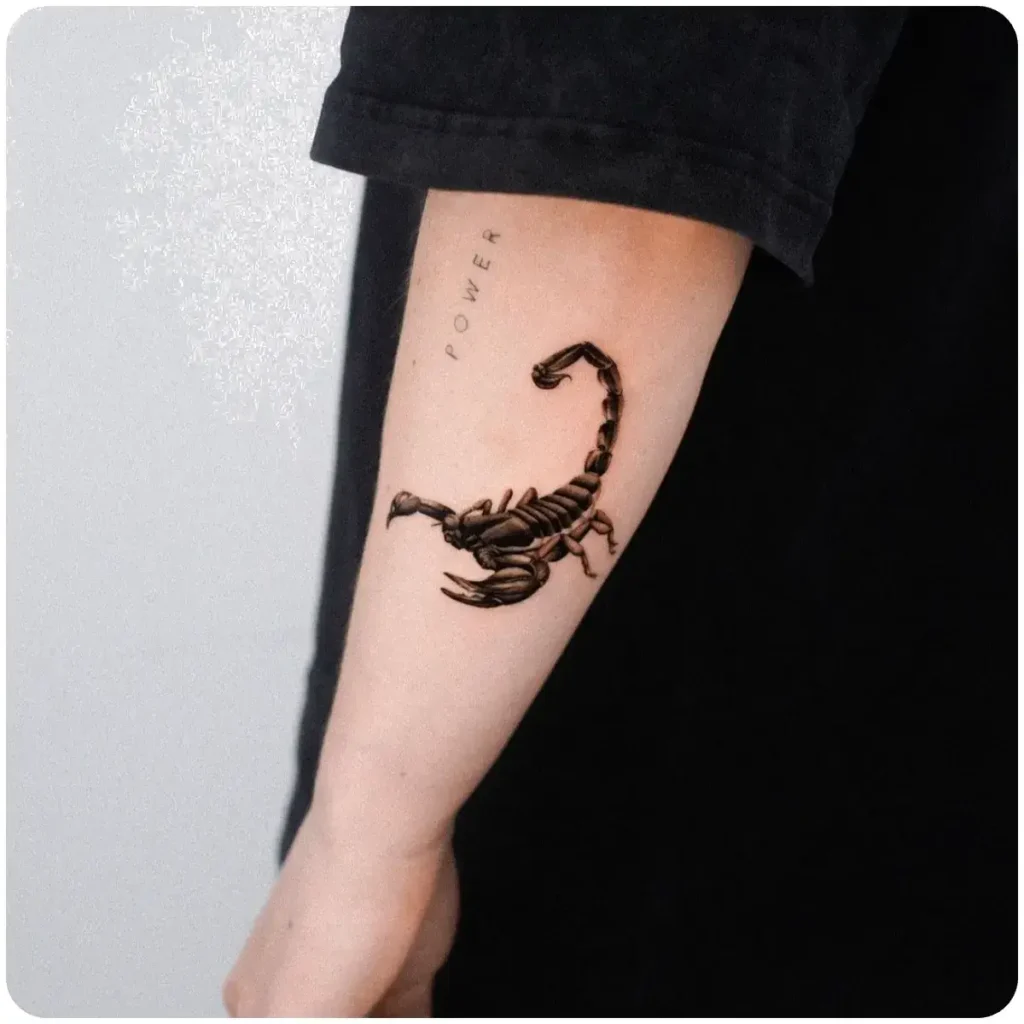 tatuaggio scorpione realistico